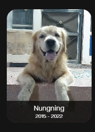 Nungning