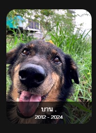 บาน.