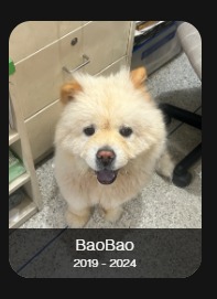 BaoBao