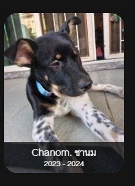 Chanom. ชานม