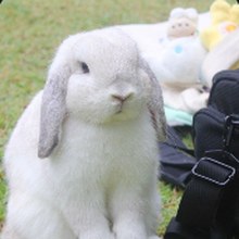 น้องชิน